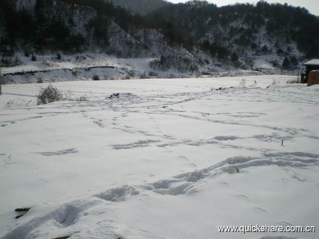 雪景